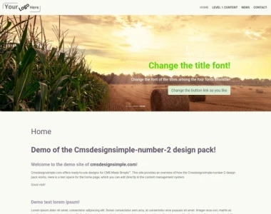 CMS Design Simple - Cmsdesignsimple-number-2